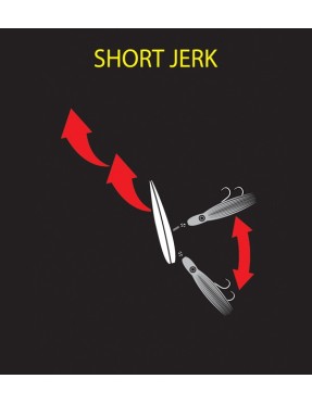 SHIMANO BOTTOM SHIP 2 160G 10T