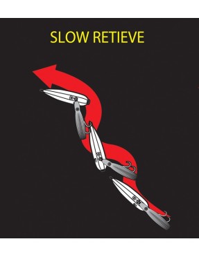 SHIMANO BOTTOM SHIP 2 160G 10T