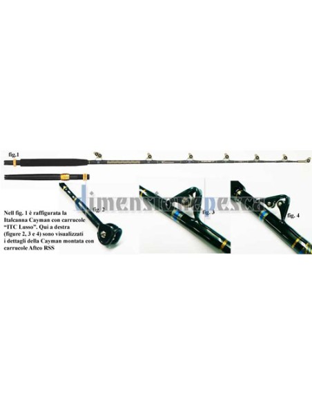 ITALCANNA CAYMAN 30/50LB RSS