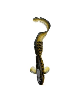 SAVAGE 3D BURBOT 250MM BURBOT
