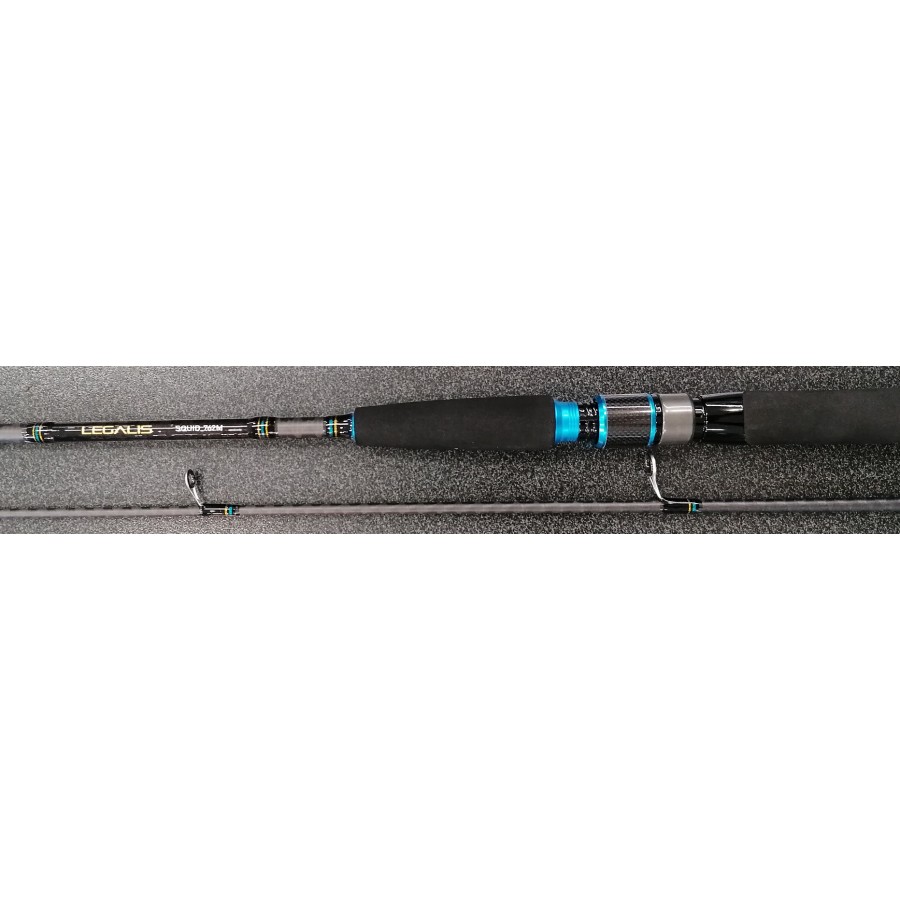 DAIWA LEGALIS BI SQUID 832M