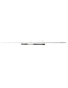 PENN CONFLICT HITOTSU TENYA 250CM 56GR