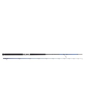 SAVAGE GEAR SGS6 SHORE JIGGING 3,05MT 30-100GR