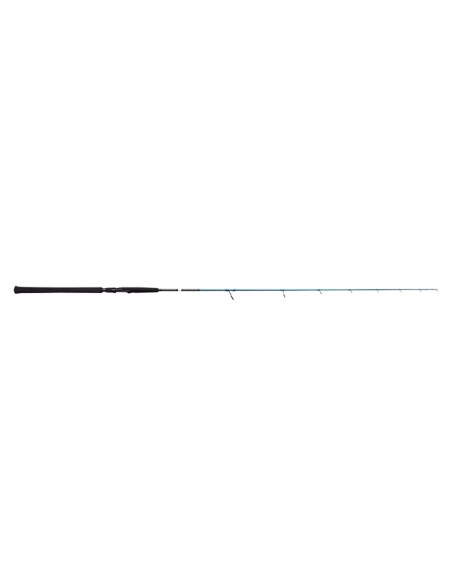SAVAGE GEAR SGS2 JIGGING 180CM 100-250GR (FISSO)