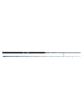 SAVAGE GEAR SGS2 OFFSHORE PLUG 250CM 30-80GR