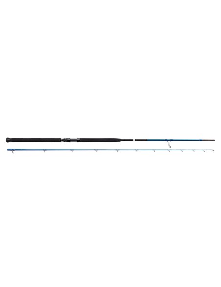 SAVAGE GEAR SGS2 SHORE JIGGING 305CM 30-100GR