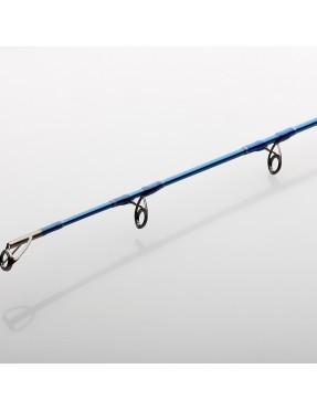 SAVAGE GEAR SGS2 SHORE JIGGING 305CM 60-150GR