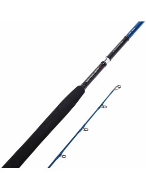 SAVAGE GEAR SGS2 SHORE JIGGING 305CM 30-100GR
