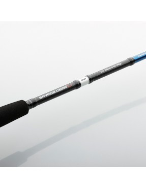 SAVAGE GEAR SGS2 JIGGING 180CM 60-180GR (FISSO)
