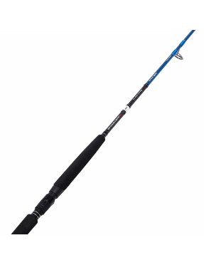 SAVAGE GEAR SGS2 JIGGING 180CM 100-250GR (FISSO)