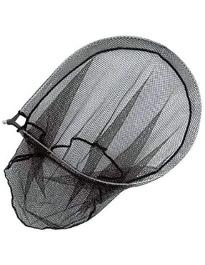TESTA GUADINO BLACK 40X50