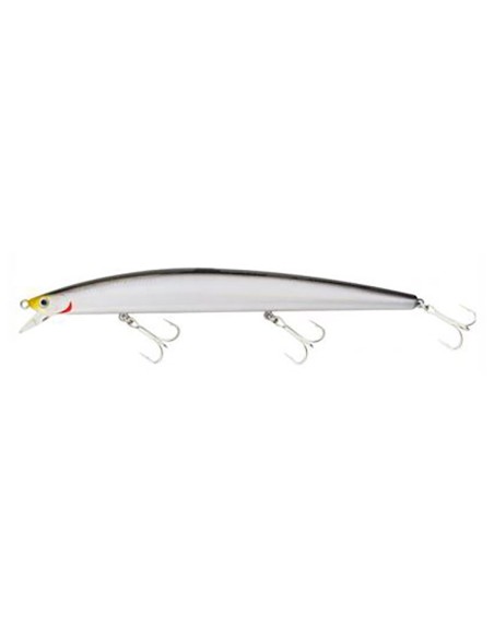 DAIWA SHINER 170CM 30GR KATAKUCHI Z