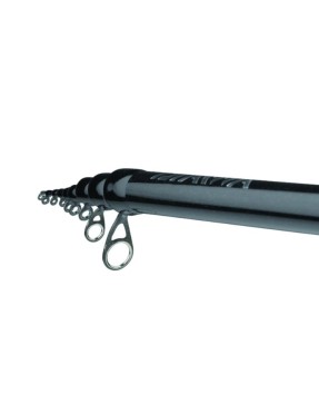 DAIWA TOURNAMENT AGS BOLO LIMITED 23 6MT POWER