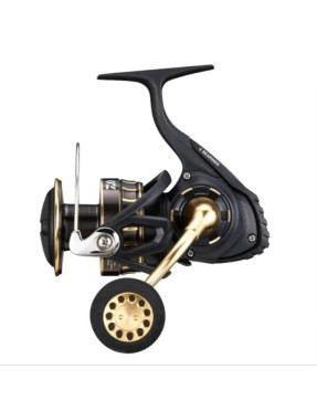DAIWA BG SW 8000 P