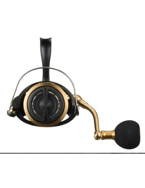 DAIWA BG SW 18000