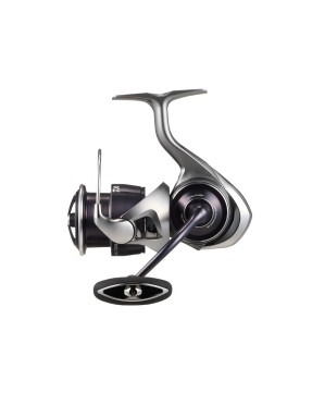 DAIWA 25 CALDIA 5000 C