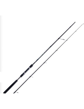 JATSUI INTREPID INSHORE 9' 60-100GR