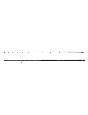 SAVAGE GEAR DEFIANCE SGS2 SHORE JIGGING 305CM 30-100GR CANNA SHORE JIGGING