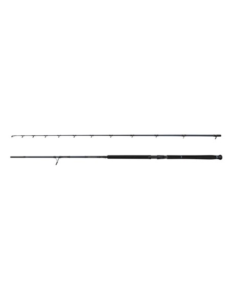 SAVAGE GEAR DEFIANCE SGS2 SHORE JIGGING 305CM 60-150GR CANNA SHORE JIGGING