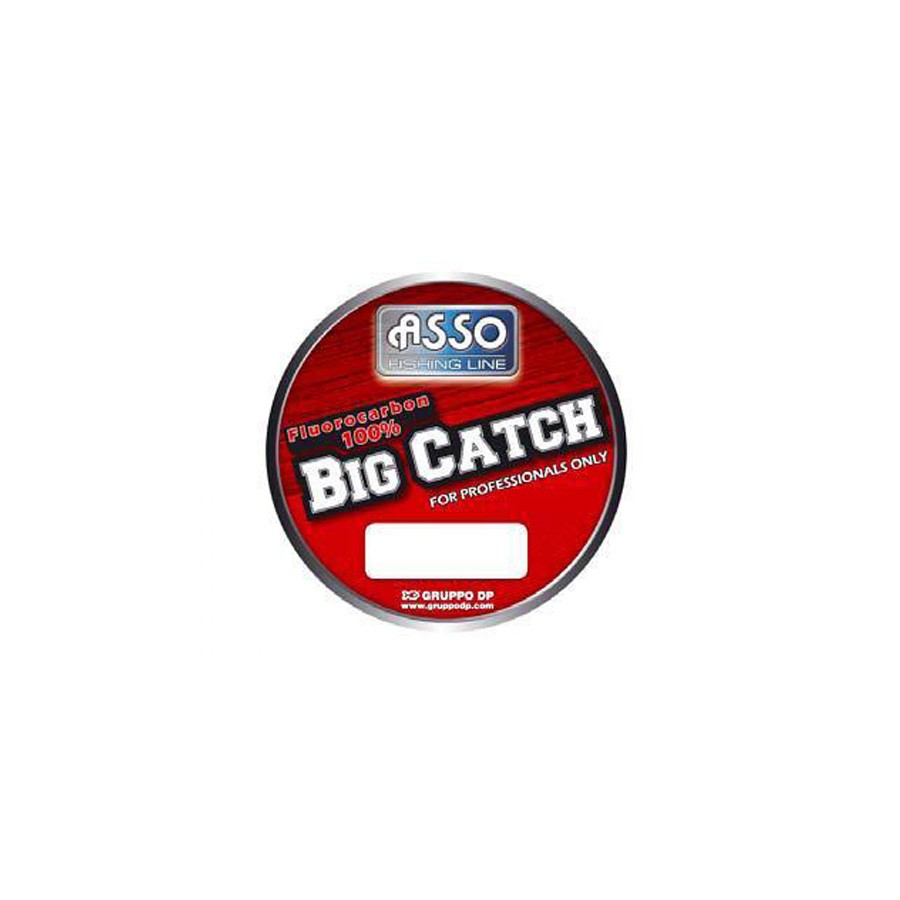 ASSO BIG CATCH 150M 0.16