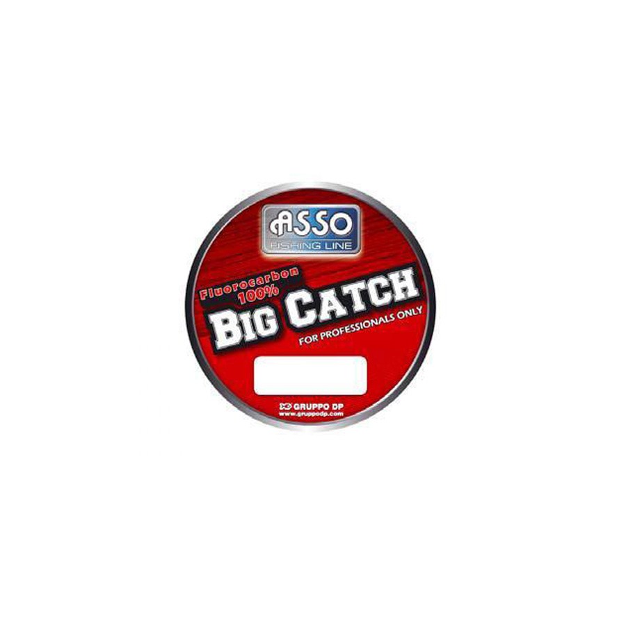 ASSO BIG CATCH 50M 0.80