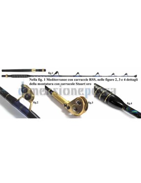 ITALCANNA MEDITERRANEE 30LB STUART