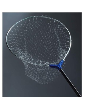 TESTA GUADINO HIDRO 40X46