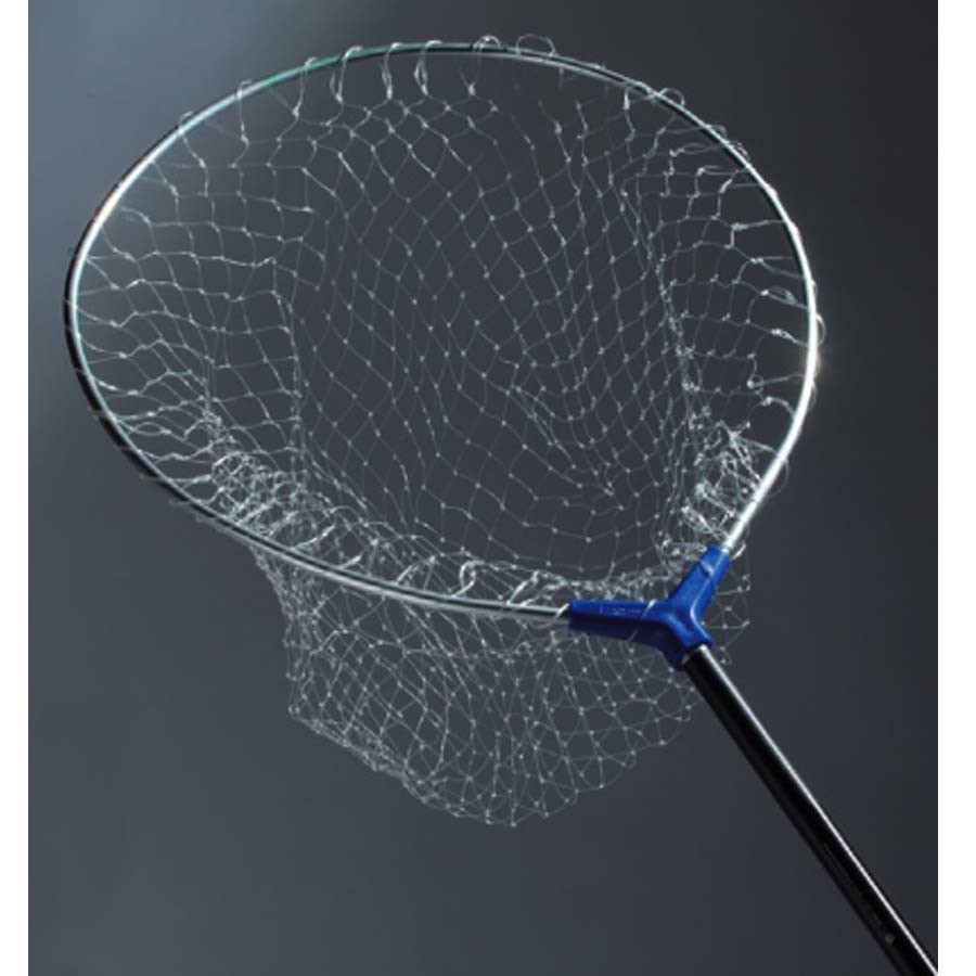 TESTA GUADINO HIDRO 40X46
