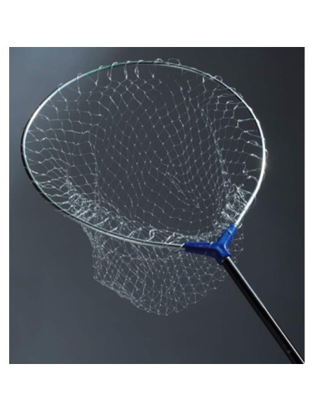 TESTA GUADINO HYDRO 50X55