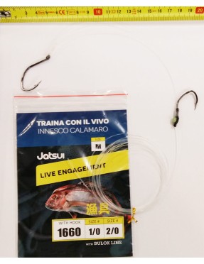 TRAINA CON IL VIVO - TERMINALE MIS. M
