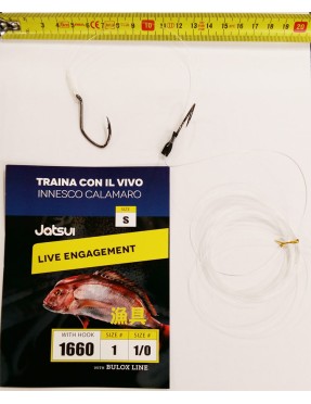 TRAINA CON IL VIVO - TERMINALE MIS. S