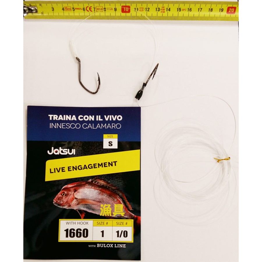 TRAINA CON IL VIVO - TERMINALE MIS. S